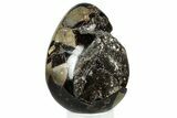 Septarian Dragon Egg Geode - Sparkly Black Crystals #329500-1